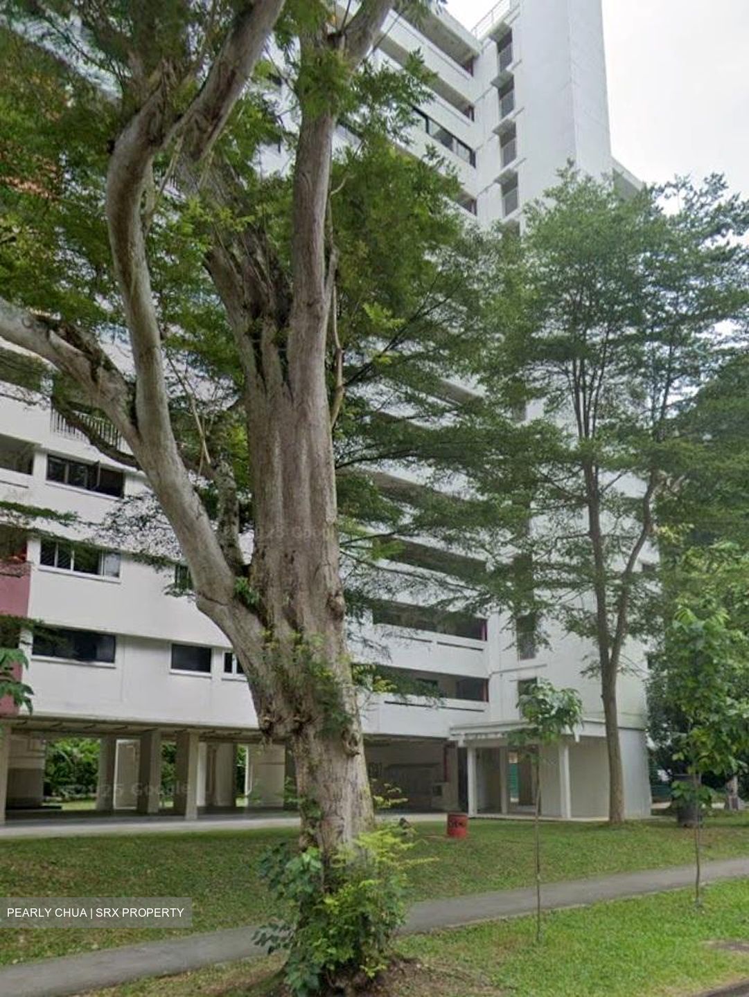Telok Blangah Rise (Bukit Merah),  #575004921